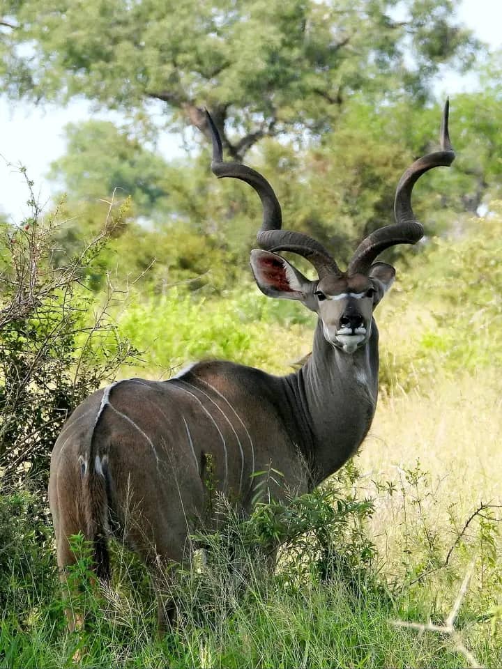 Traditional village scene
