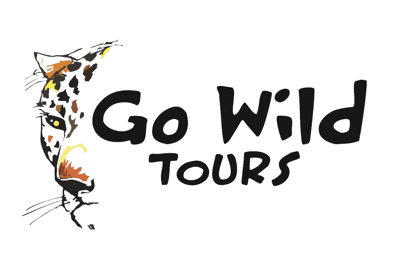 Go Wild Tours