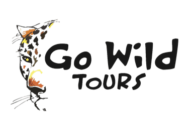 Go Wild Tours